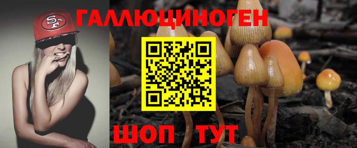 Галлюциногенные грибы MAGIC MUSHROOMS  Галлюциногенные грибы мицелий  Подольск  Вход с VPN 